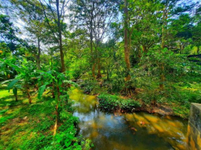 Shaggy's Nature Lodge
